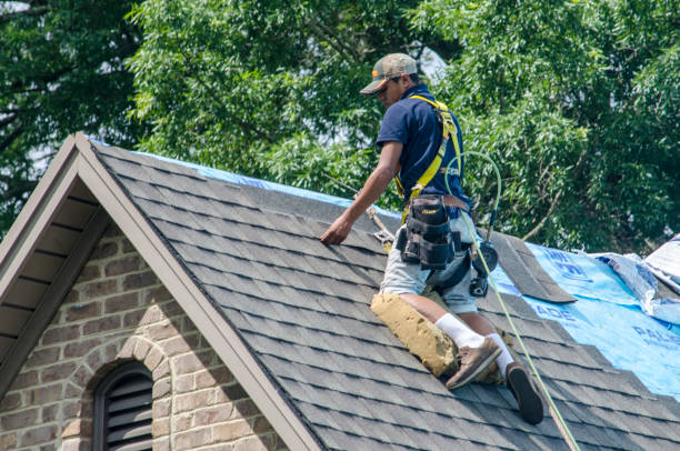 Best Flat Roof Repair Services  in Lakemore, OH